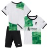 Conjunto (Camiseta+Pantalón Corto) Liverpool Segunda Equipación 23-24 - Niño